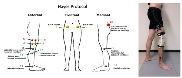 uitleg met illustraties van Hayes protocol