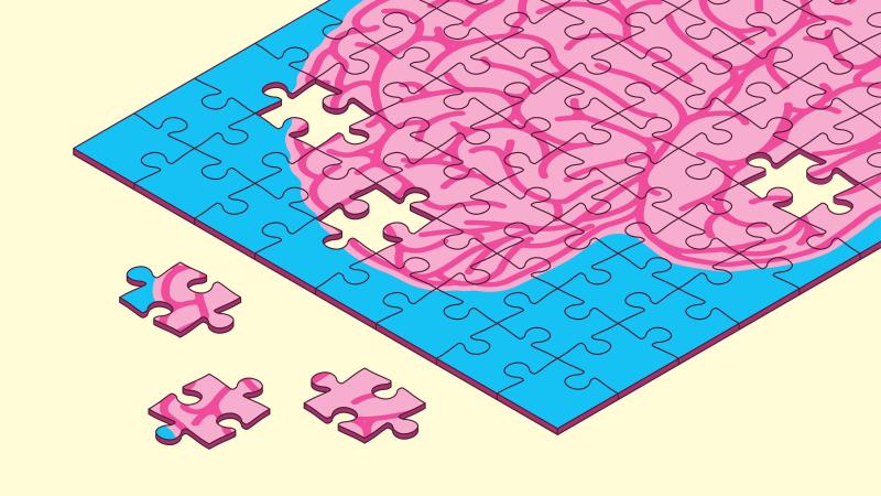 hersenen puzzel