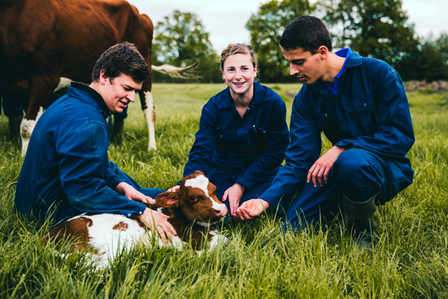 studenten landbouw knuffelen een koe